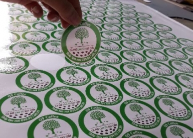 tem decal